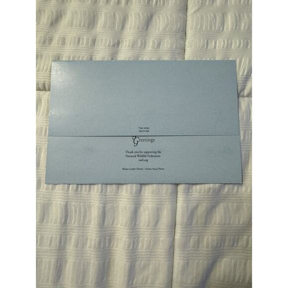 Lot of 5 Seasons Greetings Holiday Cards Polar Bear Winter Wildlife Blank - Picture 3 of 6